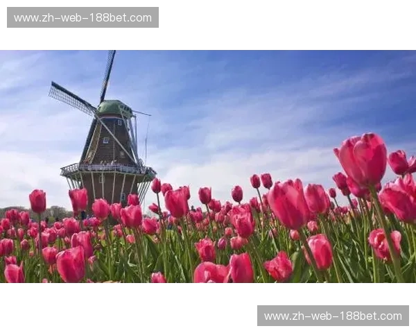 橙色郁金香与南美红魔的博弈：荷兰对阵智利的战术深度与历史回响